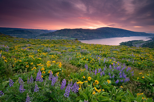 rowena crest – Road Trip Oregon